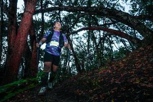 BIB: 
                            <button type="button" onclick="openModal(26343007)" class="btn btn-primary btn-sm float-right btn-popup" data-toggle="modal" data-target=".modal-high-quality">
                        <i class="fas fa-shopping-cart"></i> Add to Cart
                    </button>
                                            <button type="button" onclick="isThisMe(26343007, true)" class="btn btn-success btn-sm float-right btn-popup btn-isme hidden" data-toggle="tooltip" data-placement="bottom" title="นี่คือรูปของคุณใช่ไหม คลิกที่นี่เพื่อเอาเข้าอัลบั้ม">
                        <i class="fas fa-plus"></i> Add to album
                    </button>
                    <button type="button" onclick="isThisMe(26343007, false)" class="btn btn-warning btn-sm float-right btn-popup btn-isnotme hidden">
                        <i class="fas fa-ban"></i> Remove from album
                    </button>